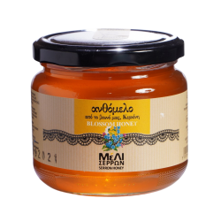 ΜΕΛΙ ΣΕΡΡΩΝ ΑΝΘΟΜΕΛΟ 450gr