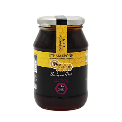 ΜΕΛΙ ΧΡΟΝΗ BIO ΔΑΣΟΥΣ 630gr