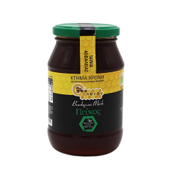 ΜΕΛΙ ΧΡΟΝΗ BIO ΠΕΥΚΟ 700gr