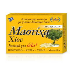 ΣΑΠΟΥΝΙ ΜΑΣΤΙΧΑ ΧΙΟΥ 125gr PANSOAP