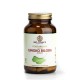 GINGKO BILOBA 120mg 60caps BIO BIOTONICS