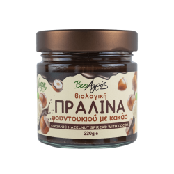 ΠΡΑΛΙΝΑ ΦΟΥΝΤΟΥΚΙΟΥ ΜΕ ΚΑΚΑΟ 220gr BIO VEGAN ΒΙΟΑΓΡΟΣ